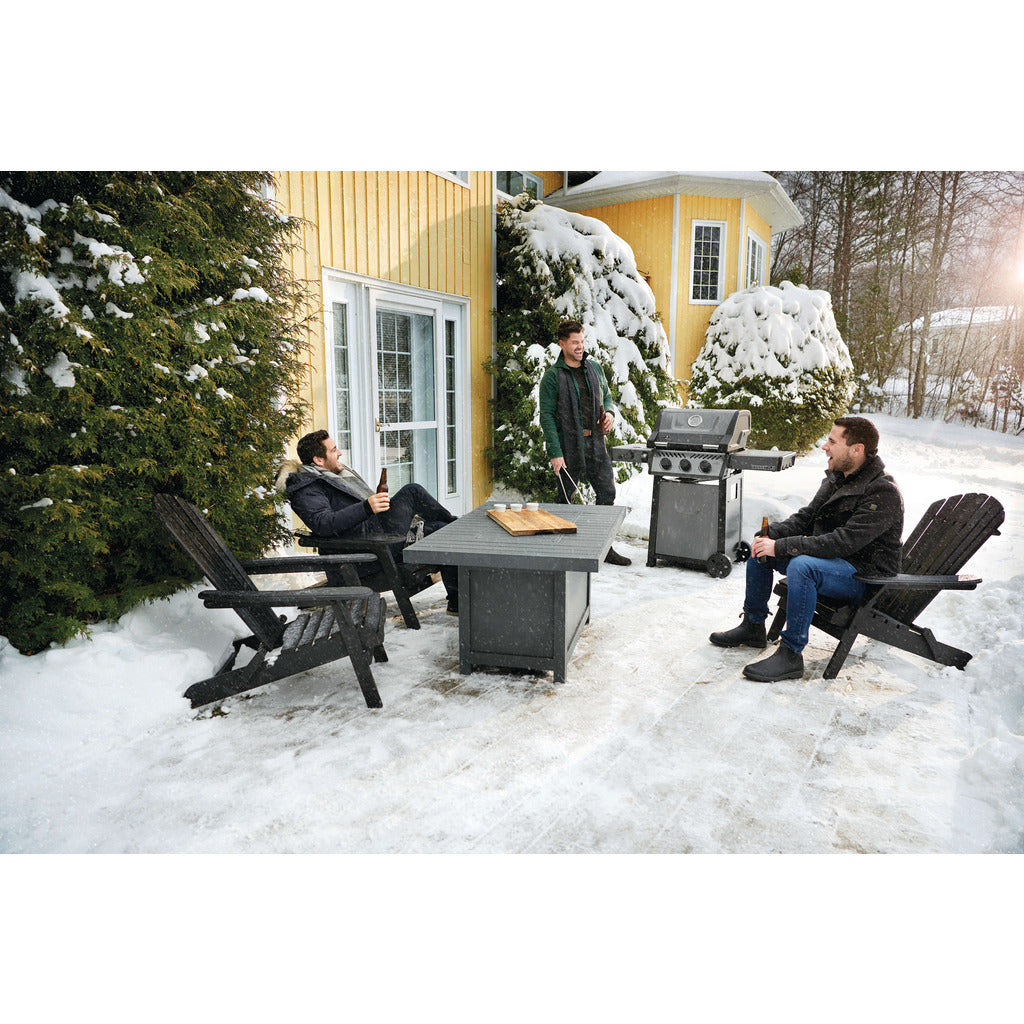 Napoleon Barbecue a gas Freestyle™ 365-SIB