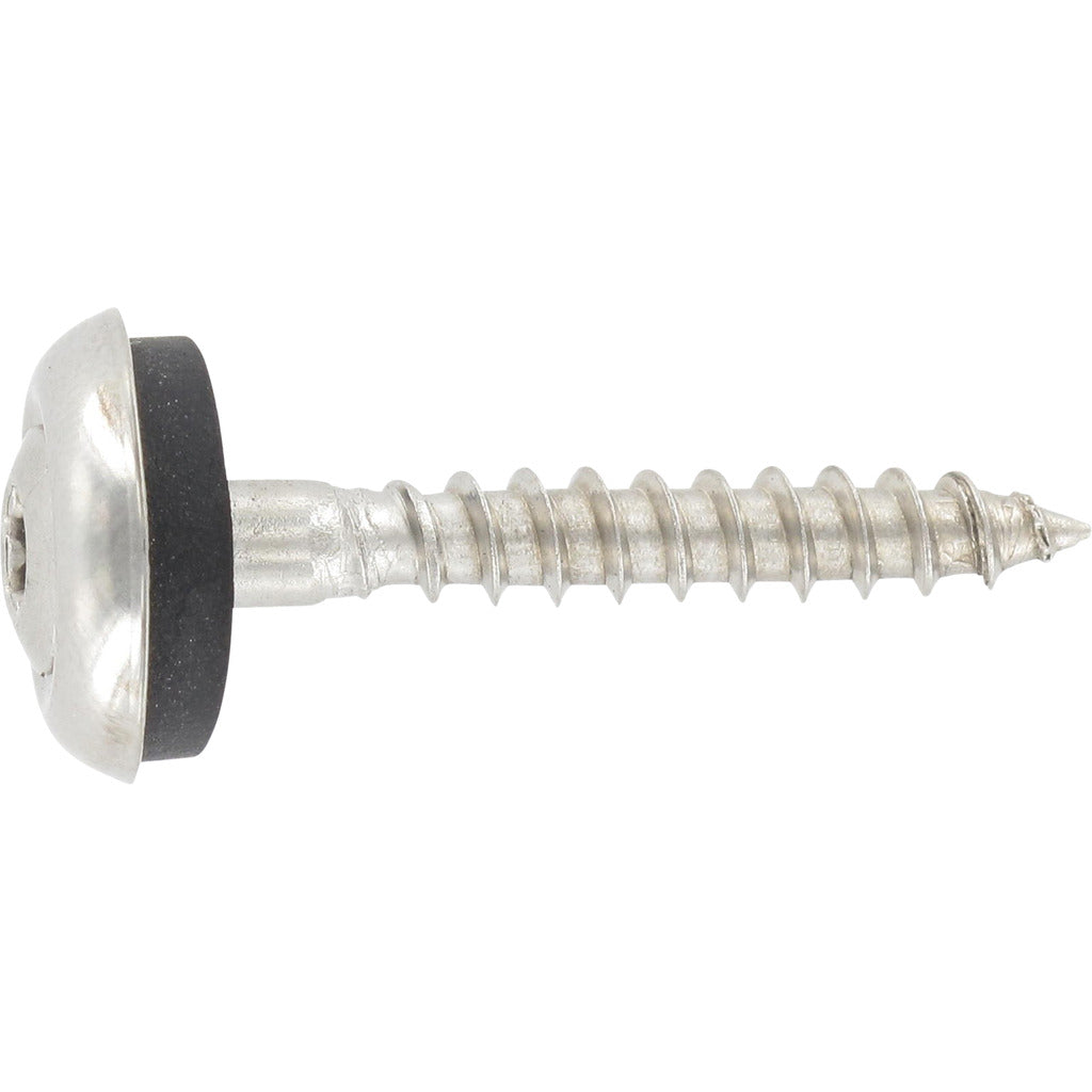 Spenglerschraube A2 Torx 3 teilig