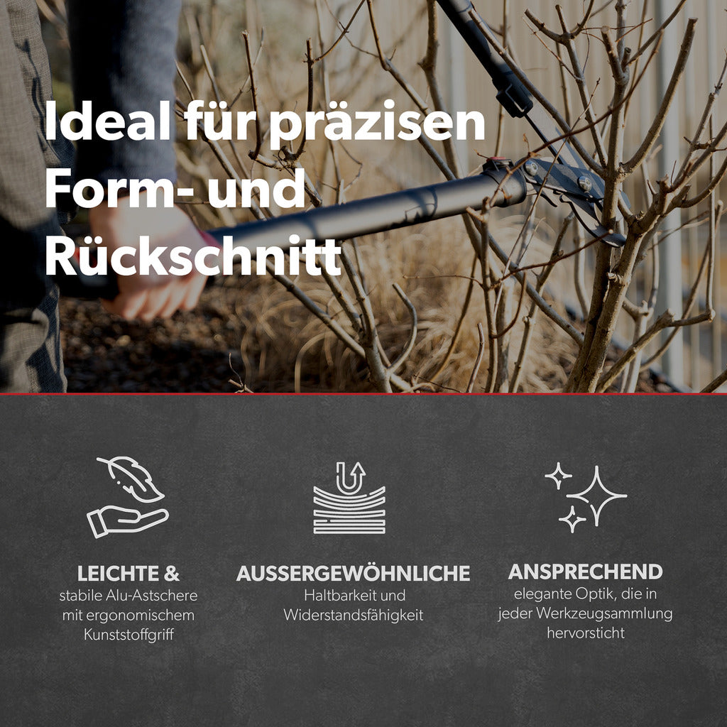 Siwitec Teleskop-Getriebe-Astschere SG-23