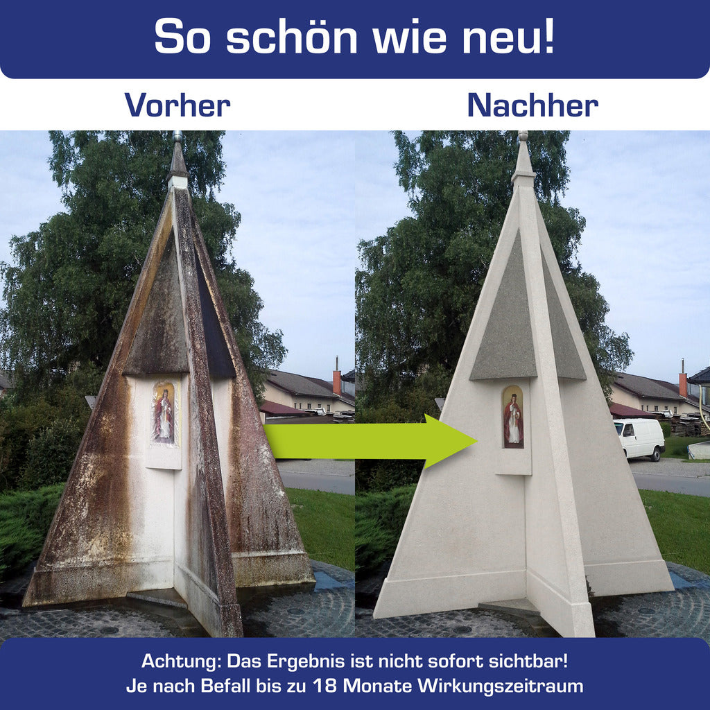 AGO Quart® Algen- und Grünbelagentferner