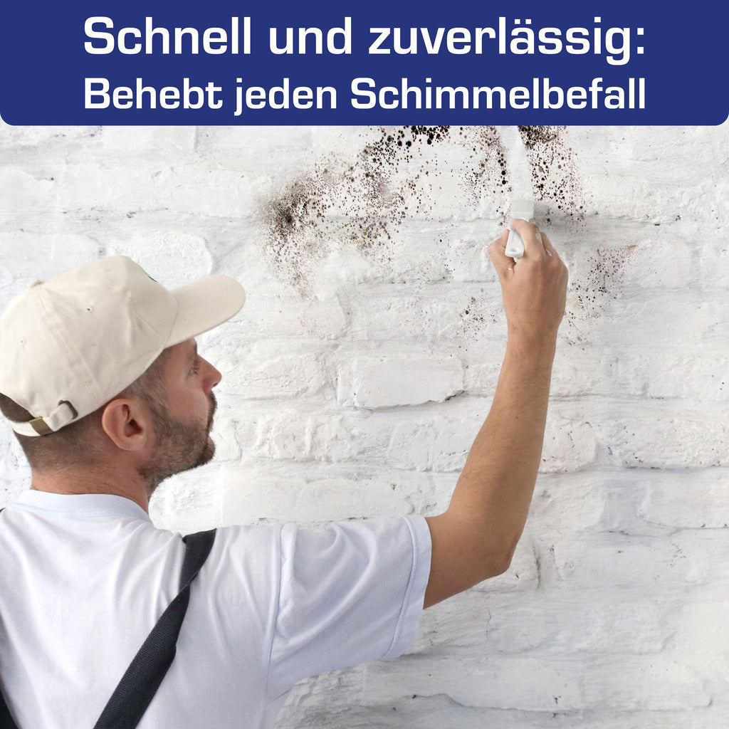 AGO Schimmelentferner mit Pinsel