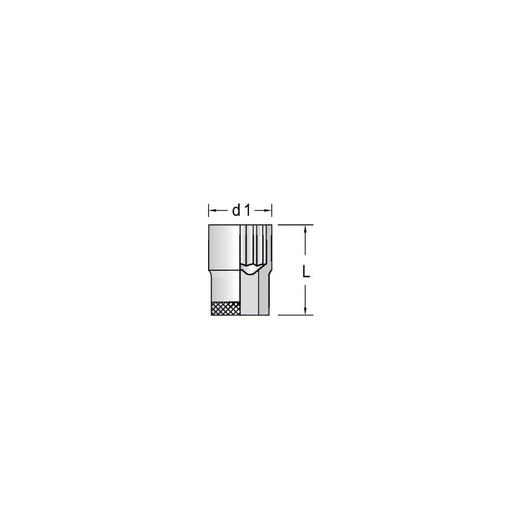 Hexagon socket wrench insert ½"