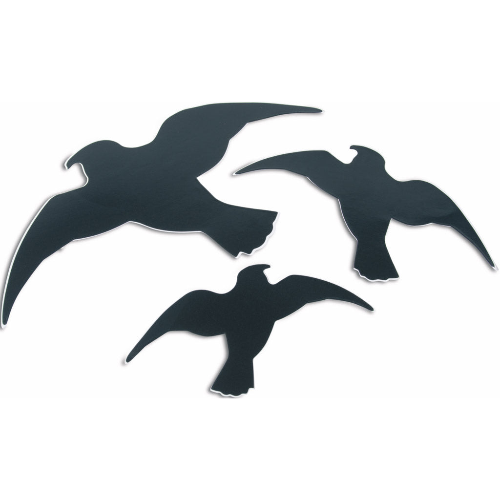 bird silhouette