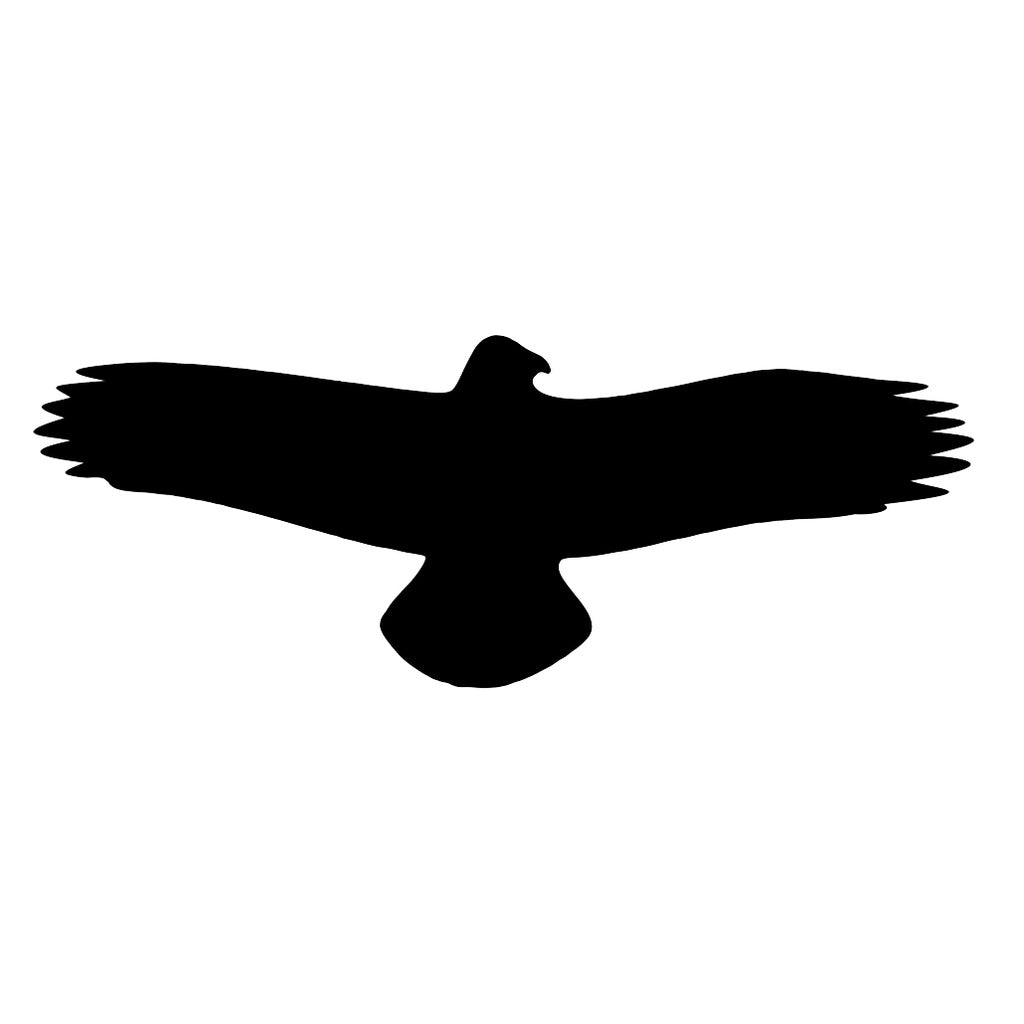 adesivi per uccelli