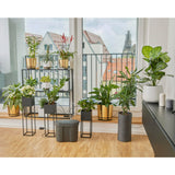 city gardening Urlaubsbewässerung-Set inkl. Wasserreservoir