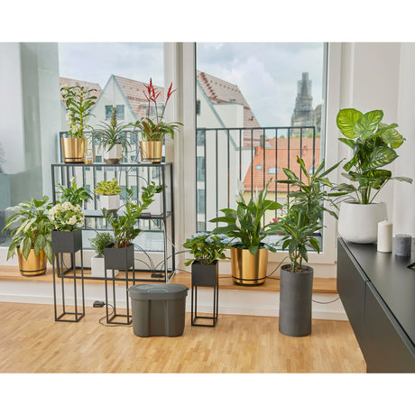 set di irrigazione per le vacanze City Gardening con serbatoio d'acqua