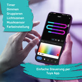 Striscia LED RGB intelligente WIFI per esterni con sensore musicale