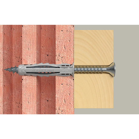 Scheda Dowel SX Plus SB