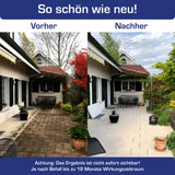 AGO Quart® Algen- und Grünbelagentferner