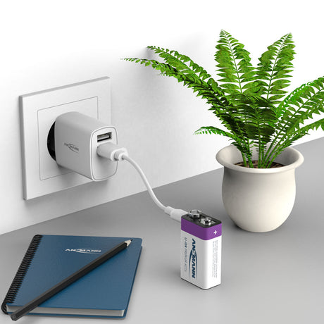 Batteria agli ioni di litio da 9 V E-Block