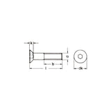 ISO10642 countersunk screws with hexagon socket 10.9 black zinc plated