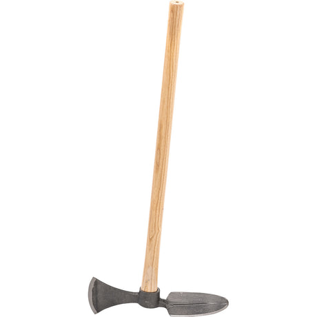 Hoopoe hoe