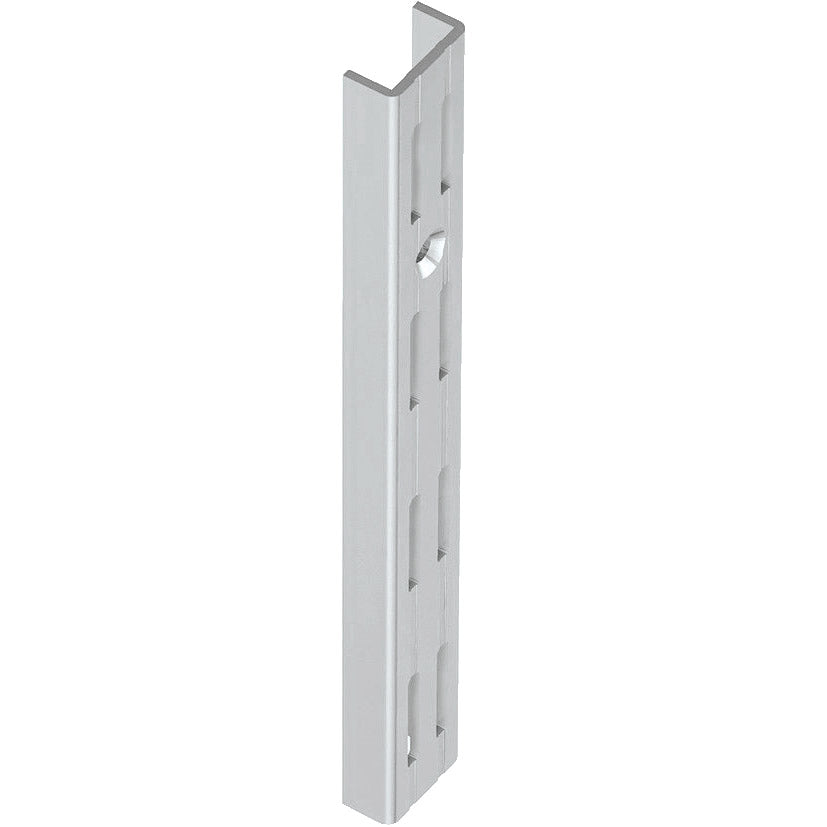 Wandschiene 10001