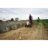 solo by AL-KO petrol motor hoe Comfort pro 7505 VR