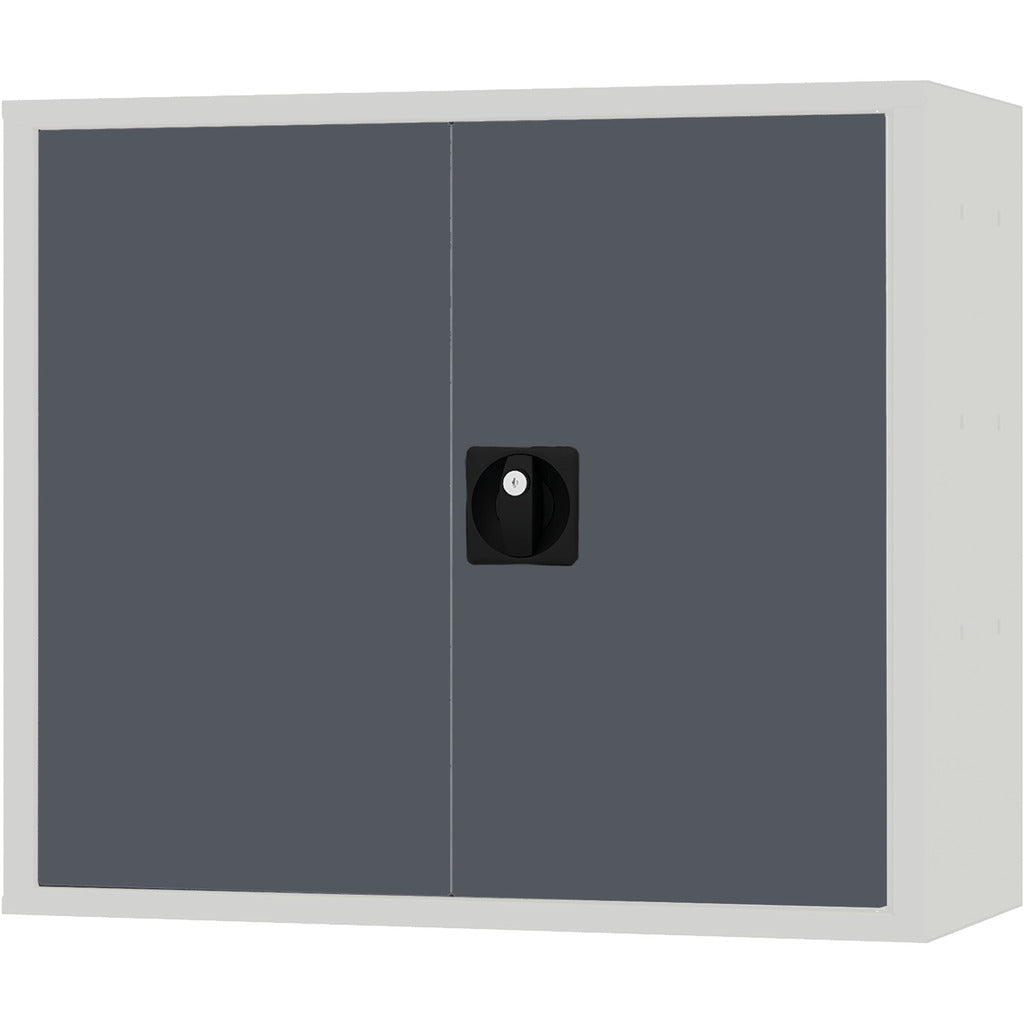 Wall cabinet with double doors CL7