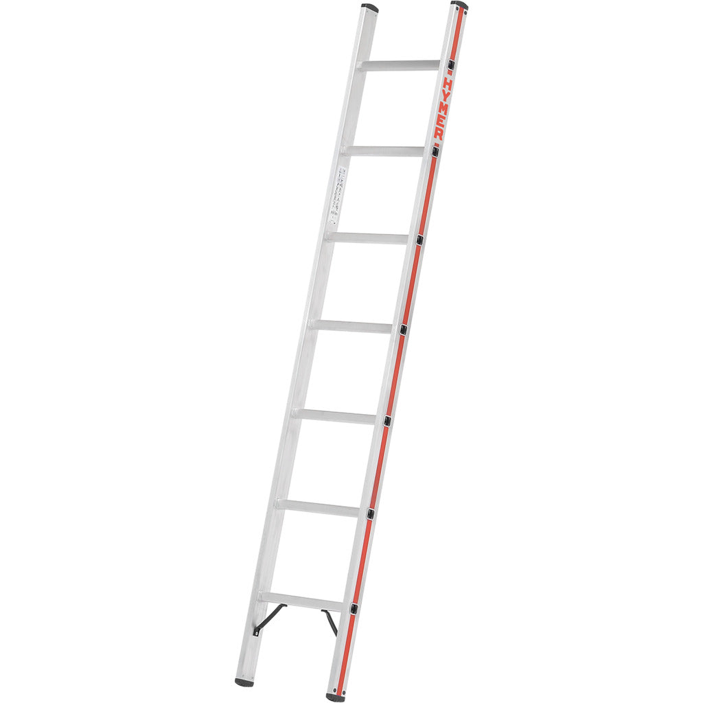 Scala a pioli 6011