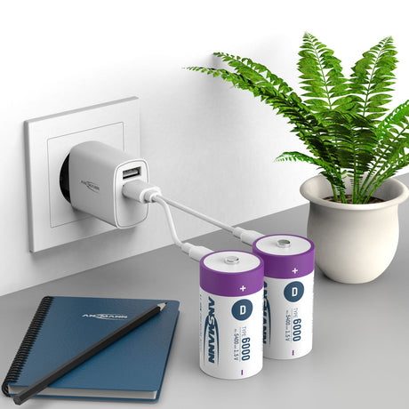 Batteria agli ioni di litio Mono D