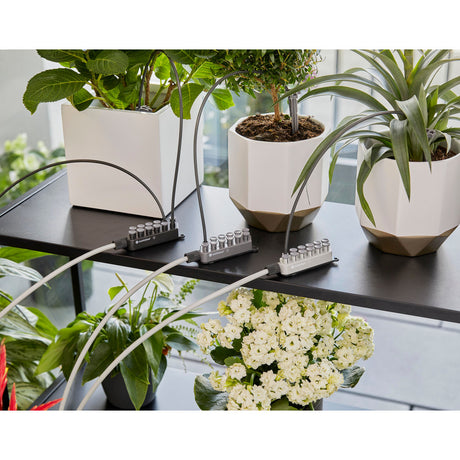 set di irrigazione per le vacanze City Gardening con serbatoio d'acqua