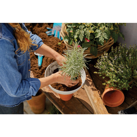 ClickUp! Planter
