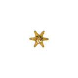 Rosette a forma di stella ricamate