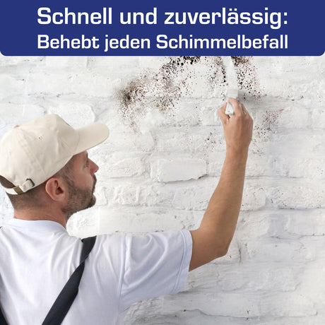AGO Schimmelentferner mit Pinsel