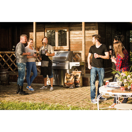 Napoleon Charcoal Grill Charcoal Professional PRO 605
