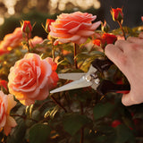 Siwitec Gartenschere mit gerader Klinge SG-12