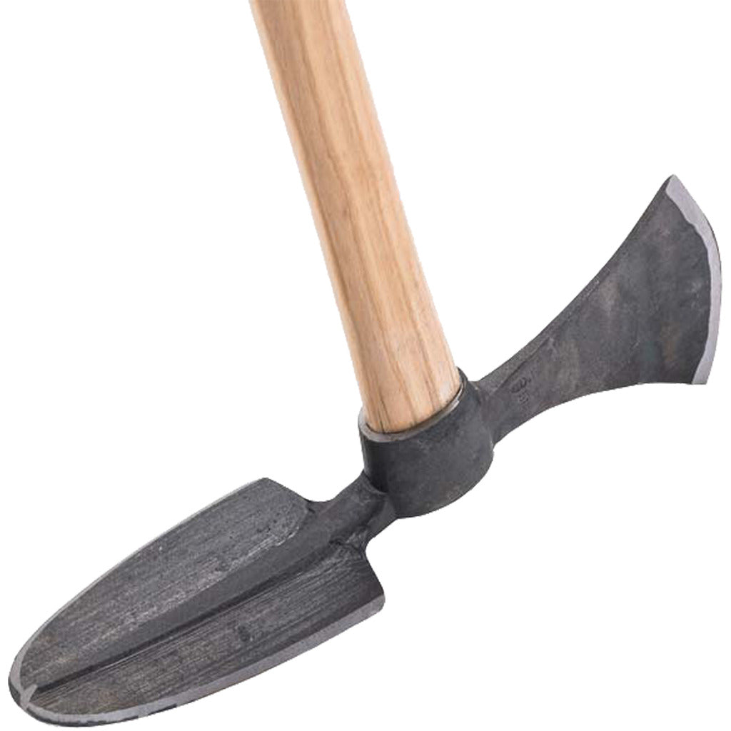 Hoopoe hoe
