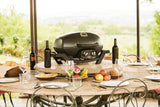 Napoleon Gasgriller TravelQ™ PRO 285