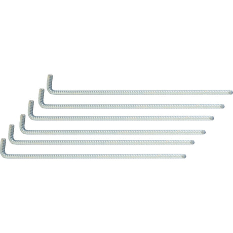 biohort ground anchor for WoodStock®