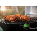 Napoleon electric grill TravelQ™ PRO 285 E