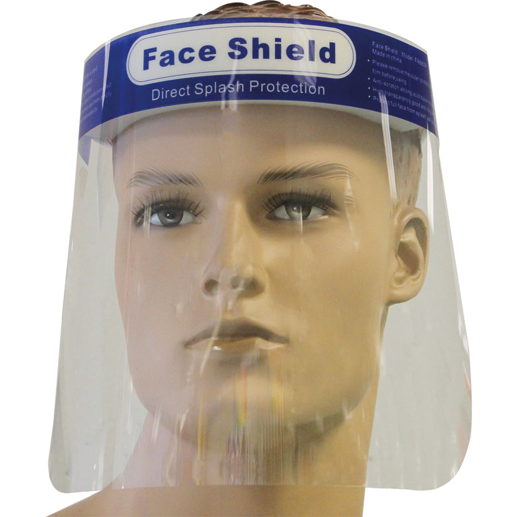 protective visor