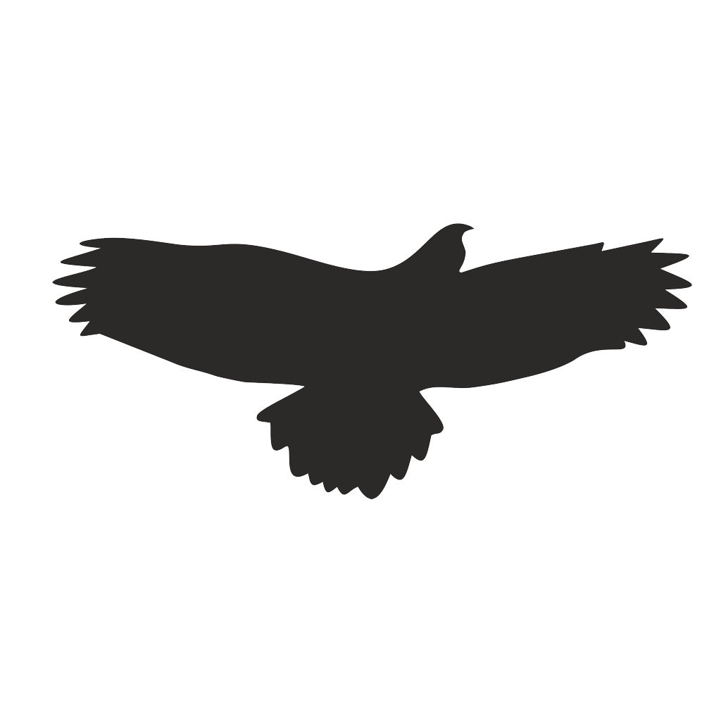 adesivi per uccelli