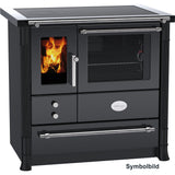 Lohberger solid fuel stove LC 80 Salzburg