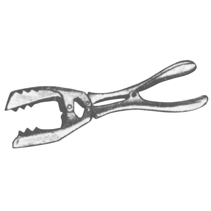 Pinze per bricchette