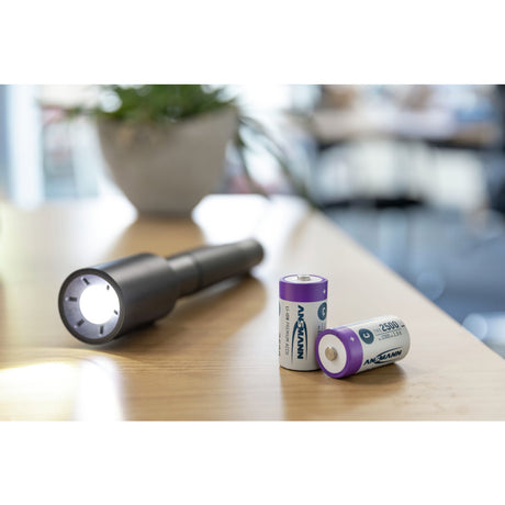 Batteria agli ioni di litio Baby C tipo 2500