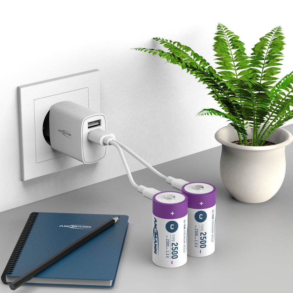 Li-Ion battery Baby C Type 2500